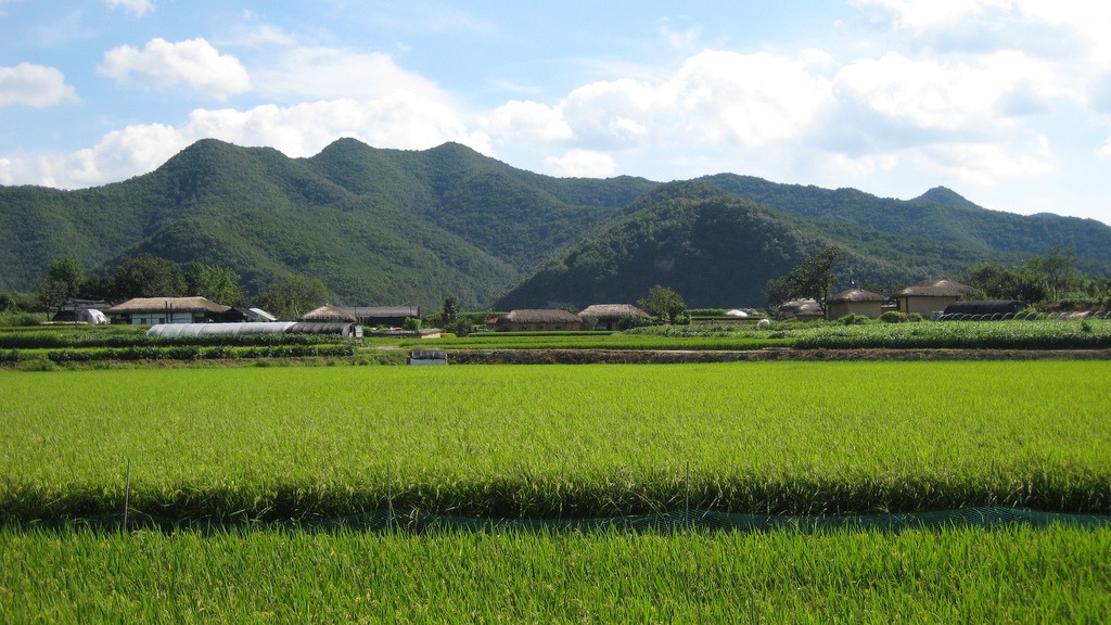 Il ruolo dell’ecoturismo nel preservare la bellezza naturale della Corea